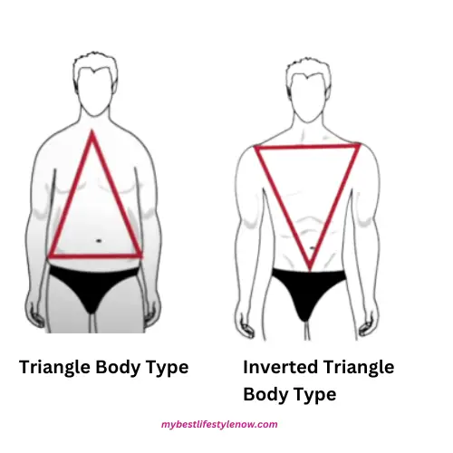 common men’s body types